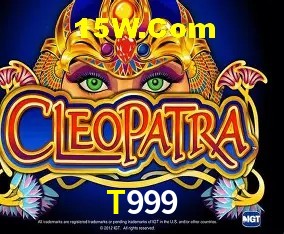 Sistemas de Segurança T999