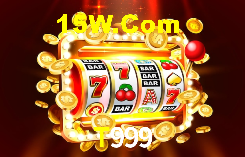 Premium Interface T999