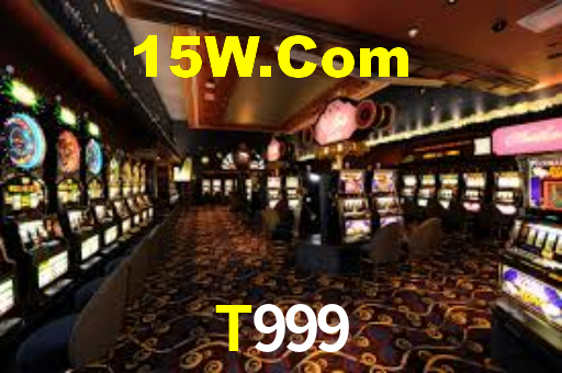 Programa VIP T999