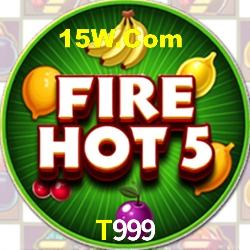 Interface Premium T999